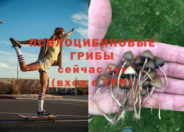 марки lsd Аркадак