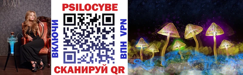 Галлюциногенные грибы Psilocybe  закладка  Балей 
